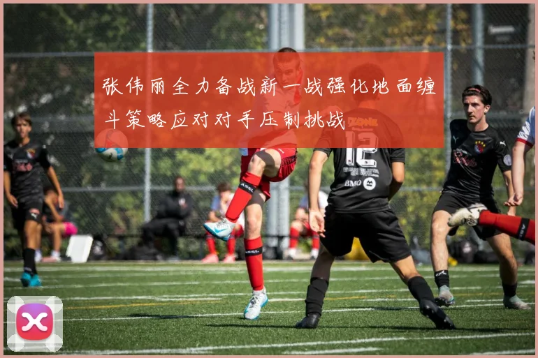 张伟丽全力备战新一战强化地面缠斗策略应对对手压制挑战